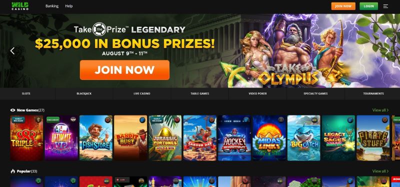 Wild casino review